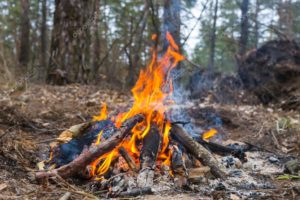 depositphotos_102002752-stock-photo-small-fire-in-a-forest